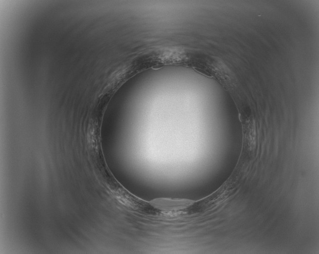 X0000058100619200509301836