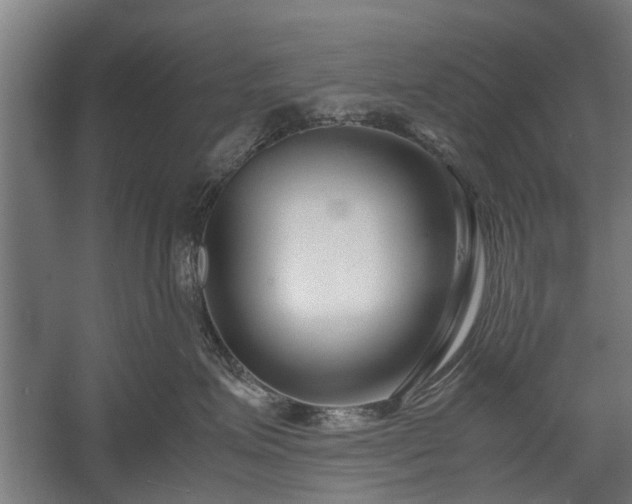 X0000058100623200509301836
