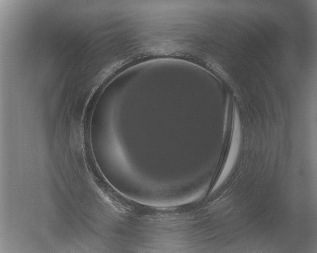 X0000058100626200509301835