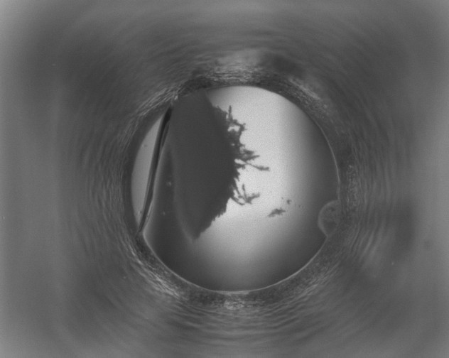 X0000058100641200509301835