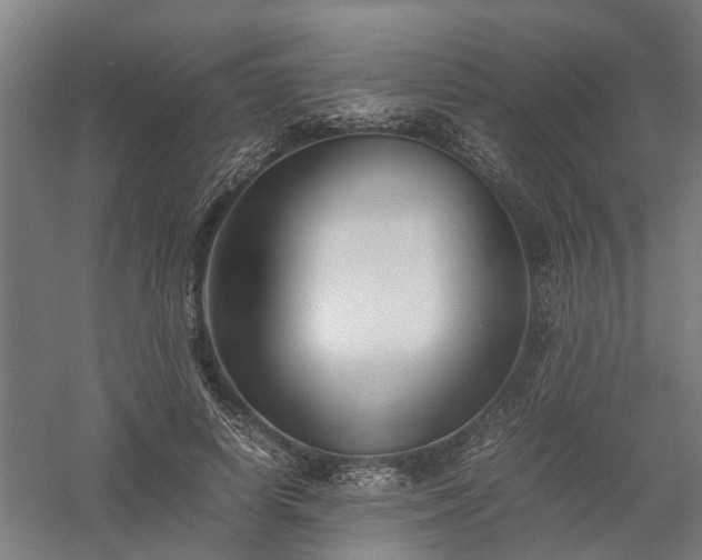 X0000058100642200509301835