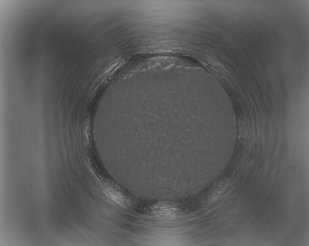 X0000058100648200509301836