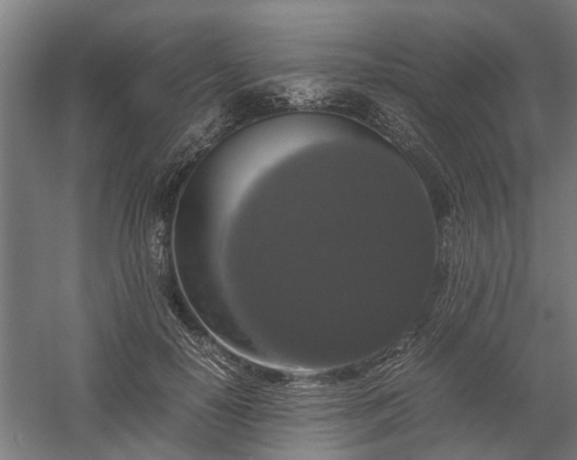 X0000058100650200509301836