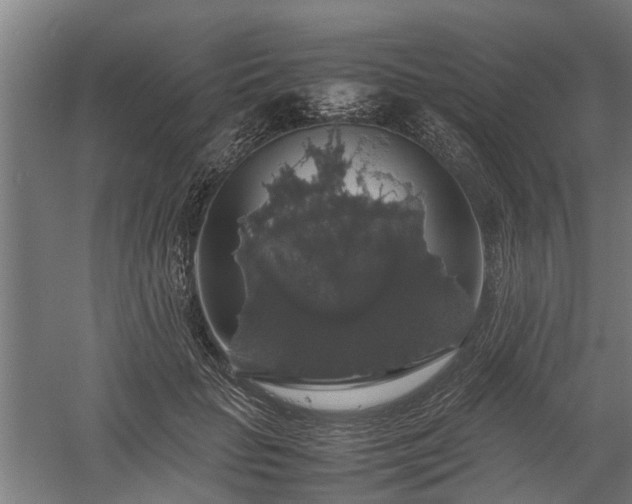 X0000058100653200509301836