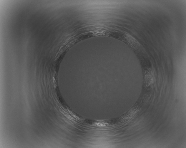 X0000058100654200509301836