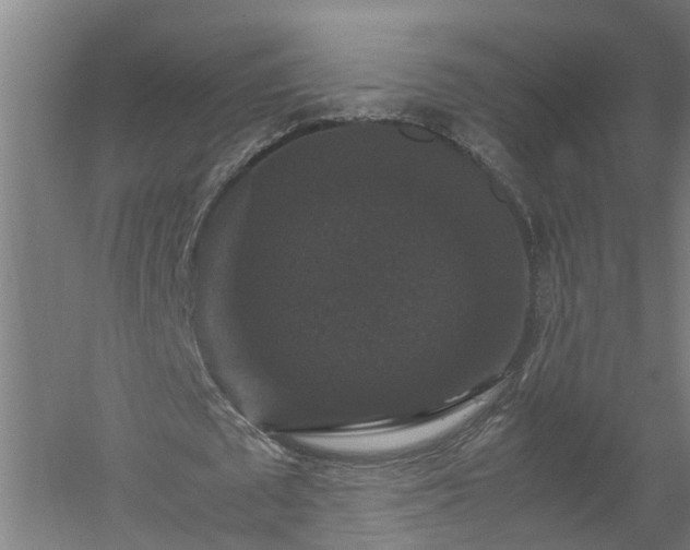 X0000058100673200509301835