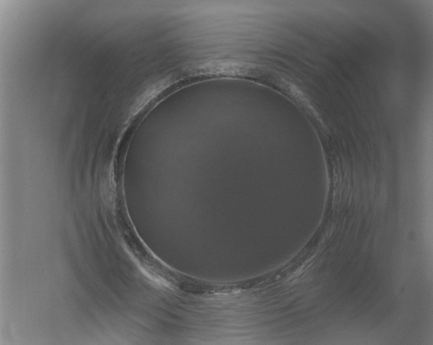 X0000058100674200509301835