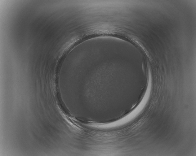 X0000058100677200509301835