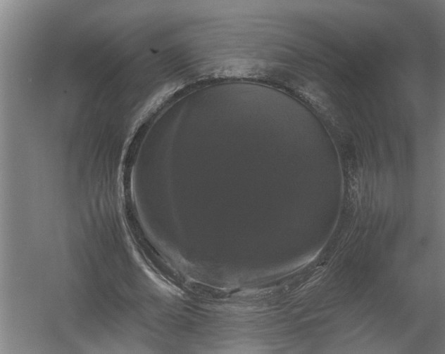 X0000058100678200509301835