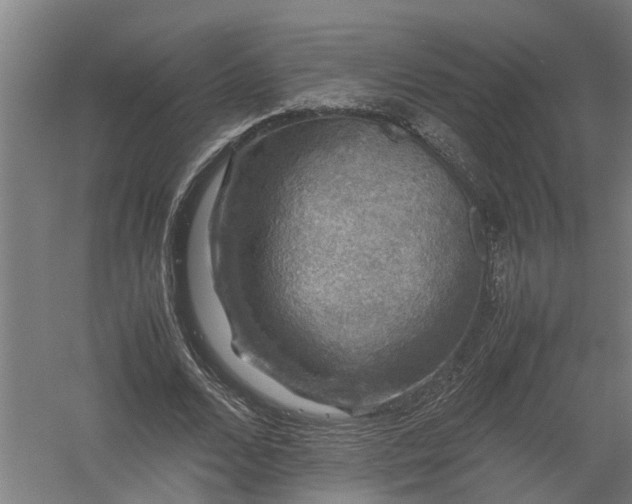 X0000058100680200509301835