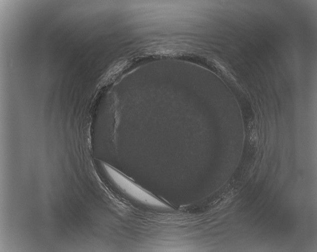 X0000058100685200509301835