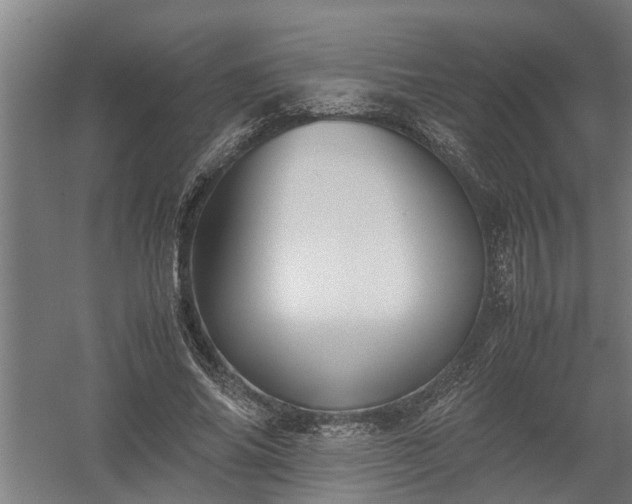 X0000058100686200509301835
