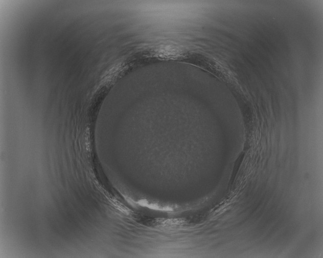 X0000058100689200509301835