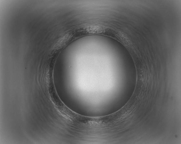 X0000058100690200509301835
