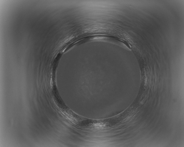 X0000058100692200509301835