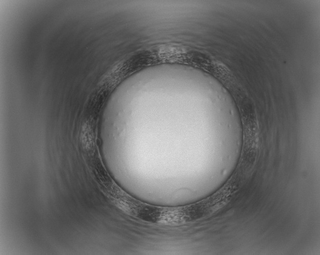 X0000058100705200509301835