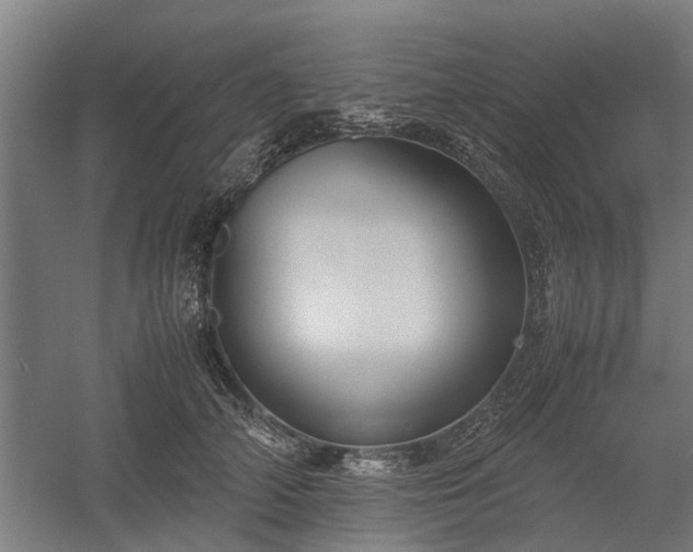 X0000058100706200509301835