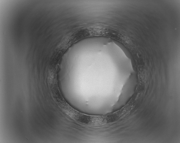 X0000058100709200509301835