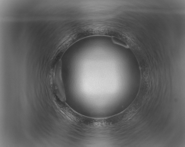X0000058100744200509301834