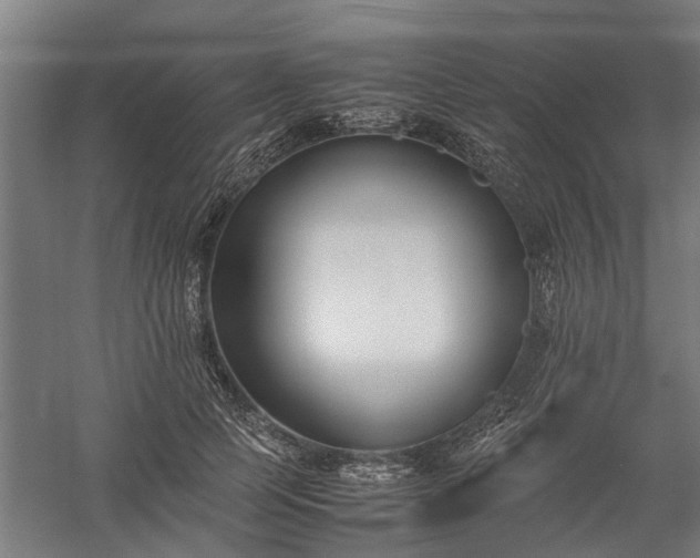 X0000058100745200509301834