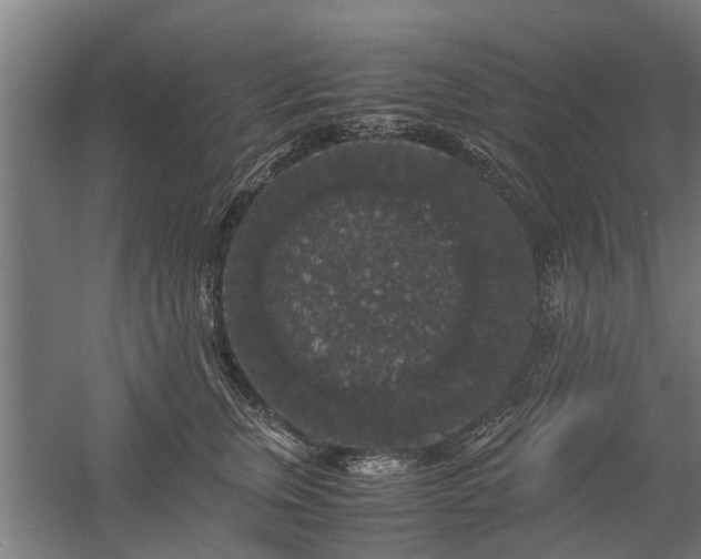 X0000058100759200509301834