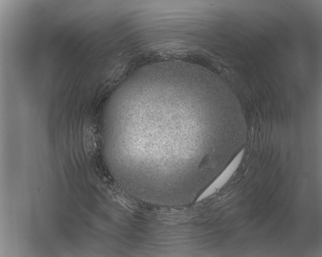 X0000058100772200509301833