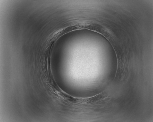 X0000058100773200509301833