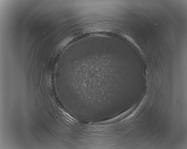 X0000058100777200509301833