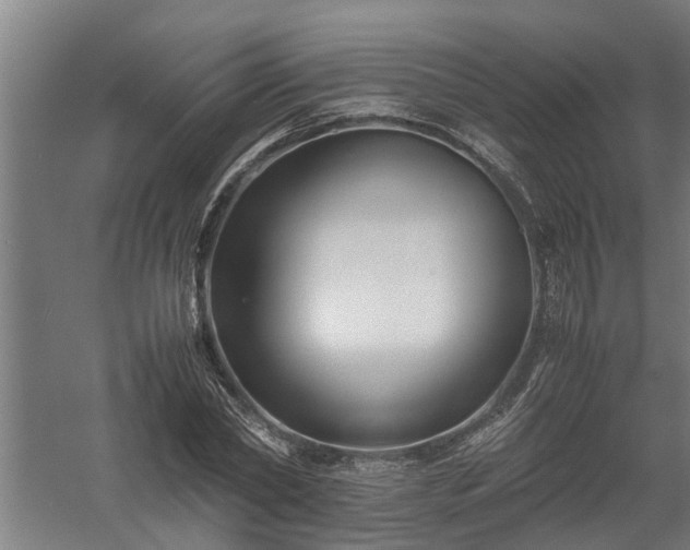 X0000058100782200509301833