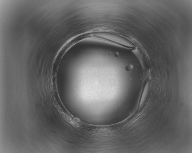 X0000058100784200509301833