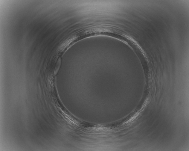 X0000058100785200509301833