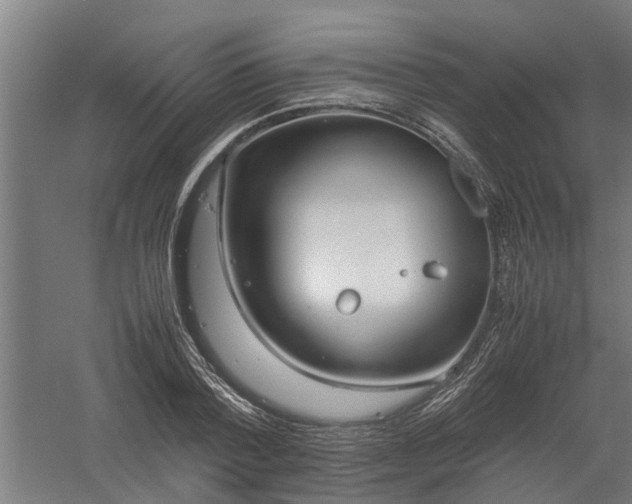 X0000058100788200509301833