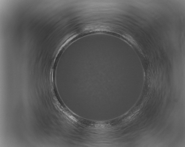 X0000058100790200509301833