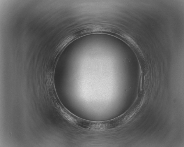 X0000058100793200509301833