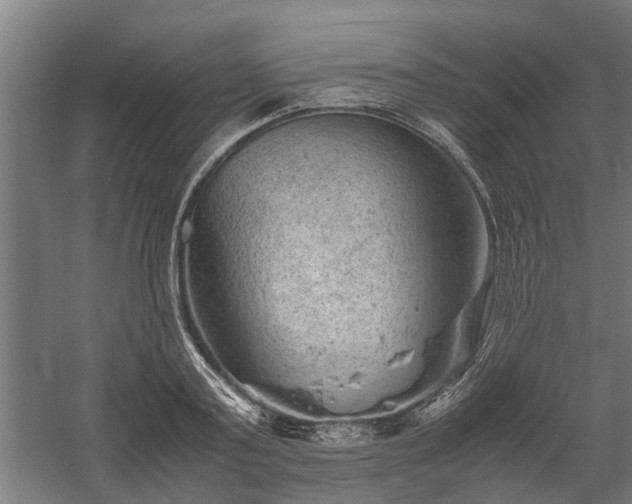 X0000058100795200509301833