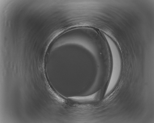 X0000058100797200509301833