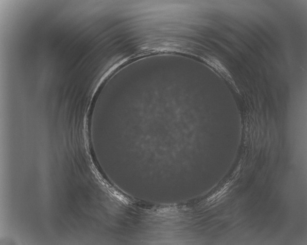 X0000058100798200509301833