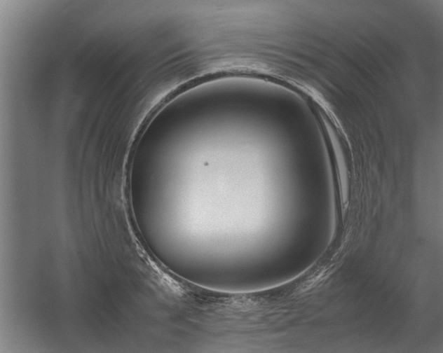 X0000058100799200509301833