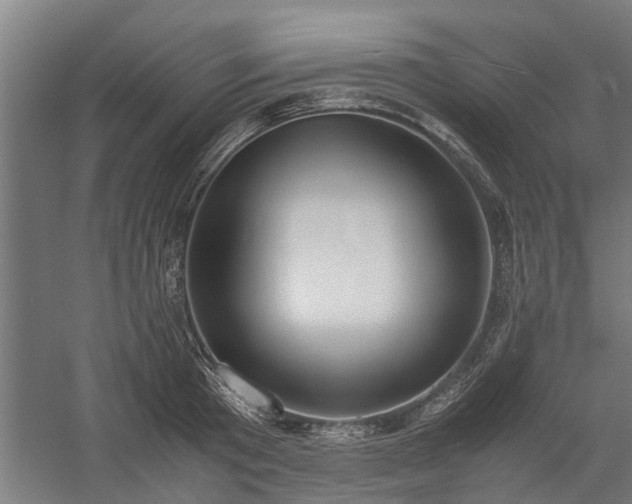 X0000058100801200509301833