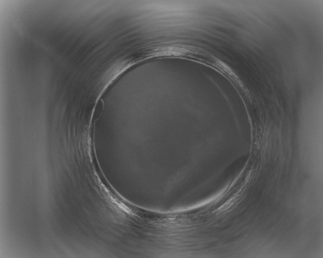 X0000058100802200509301833