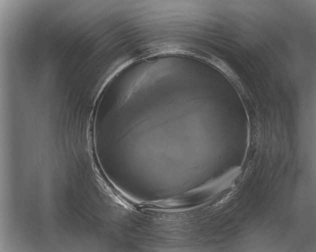 X0000058100806200509301833