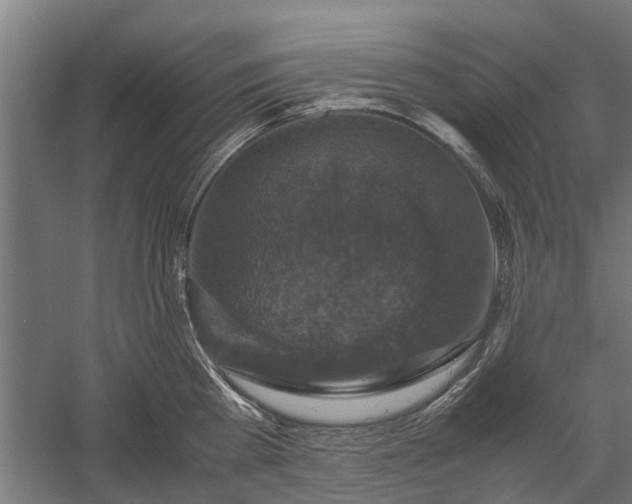 X0000058100809200509301833