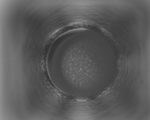 X0000058100822200509301832