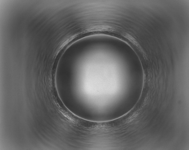 X0000058100834200509301832