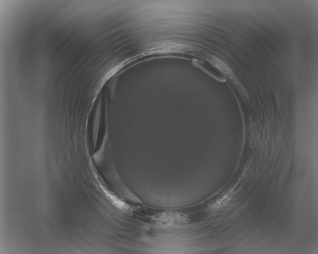 X0000058100842200509301832