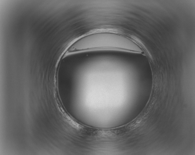 X0000058100852200509301833