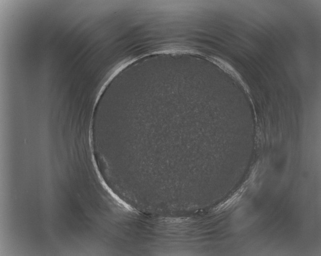 X0000058100855200509301833