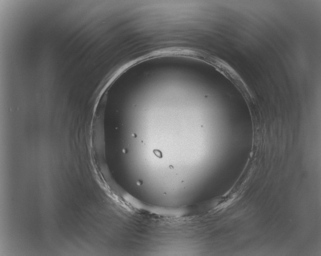 X0000058100860200509301833