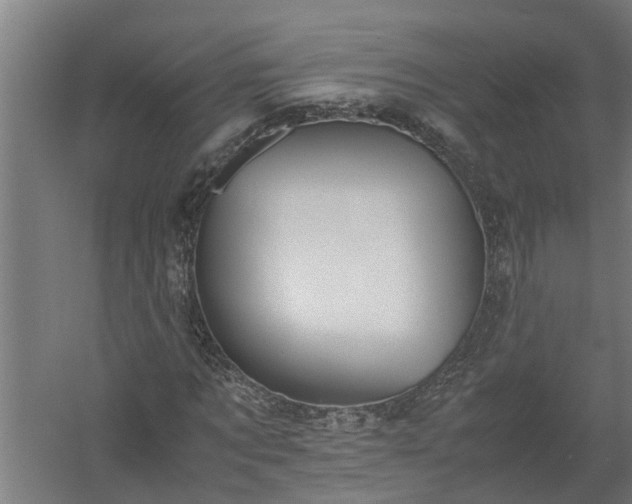 X0000058100869200509301832