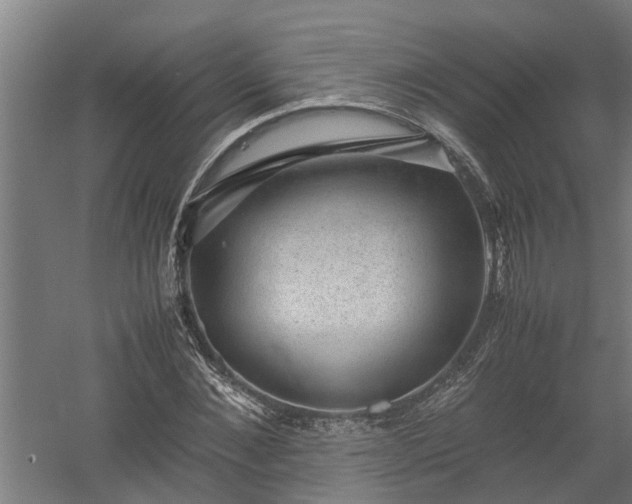 X0000058100876200509301832